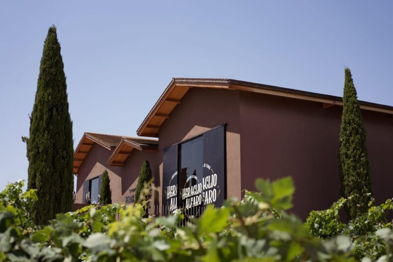 Discover La Rioja: Guided Winery Tour & Wine Tasting - Why This Tour Is a Great Choice