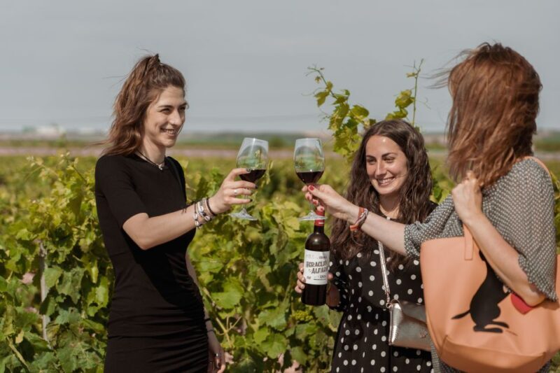 Discover La Rioja: Guided Winery Tour & Wine Tasting - FAQ