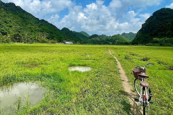 Discover Lan Ha Bay Viet Hai Village Hike to Ha Long bay - Authentic Insights from Other Travelers
