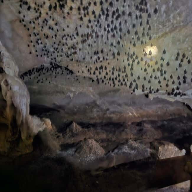 Discover Langkawi Like a local - Private Island Tour - Key Points