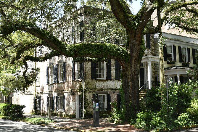 Discover Lesser Known Stories on the Hidden Savannah Walking Tour - Discover Lesser Known Stories on the Hidden Savannah Walking Tour