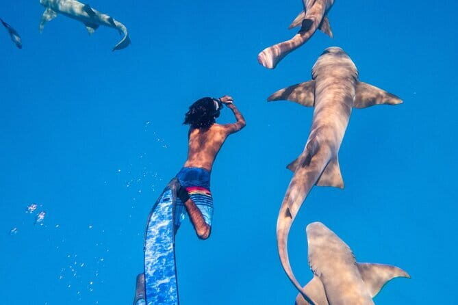 Discover Maafushi in 4 Nights 5 Days (Tour A) - An In-Depth Look at the Maafushi Experience