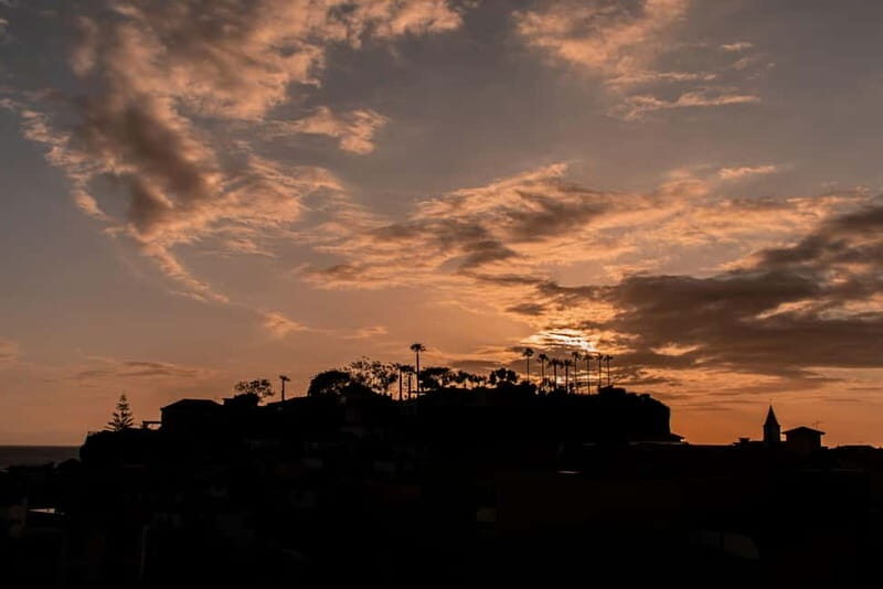 Discover Madeira in your own way: Private full-day tour - The Sum Up