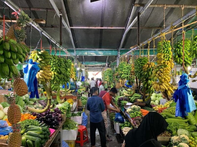 "Discover Male': A Guided Tour in the Heart of the Maldives. - Final Thoughts