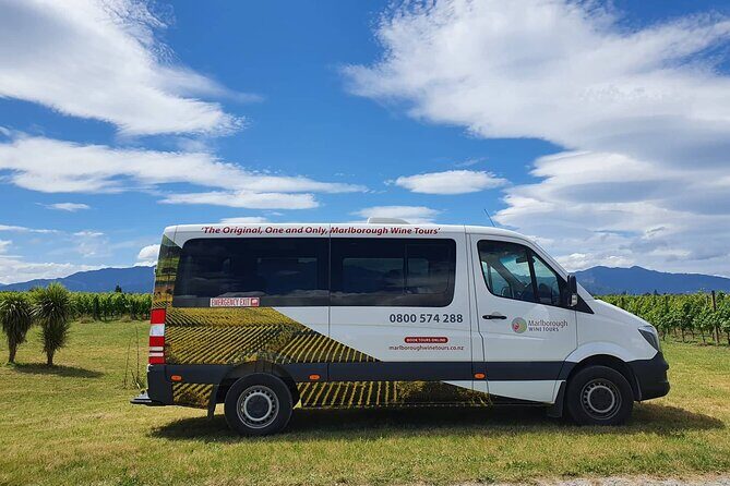 Discover Marlborough Wine - Afternoon Marlborough Wine Tour - Deep Dive into the Itinerary