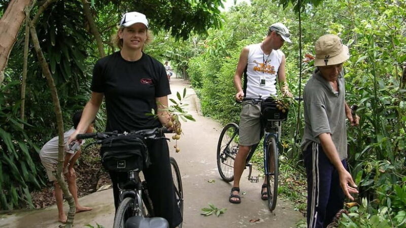 Discover Mekong Delta on Private Non-Touristy Biking Tour - The Itinerary in Detail