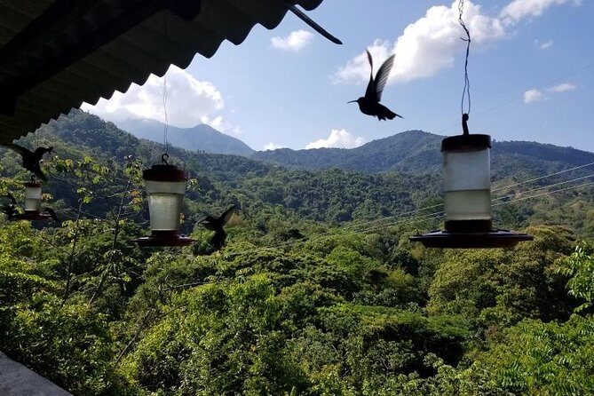 Discover Minca - Discover Minca: An Authentic Nature Escape Near Santa Marta