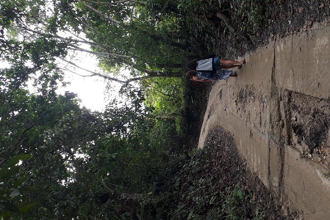 Discover Minca - Authentic Experiences That Stand Out