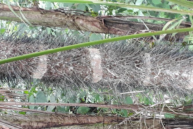 Discover Minca - Practical Considerations