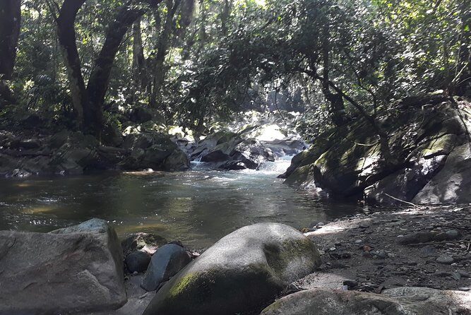 Discover Minca - Who Should Consider This Tour?