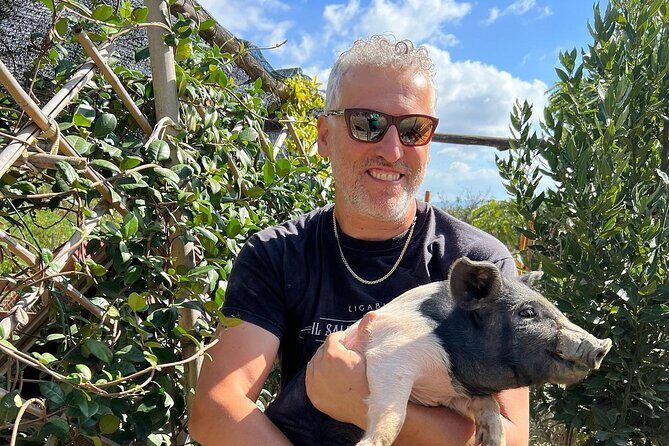 Discover Montepulciano: Cinta Senese Pigs, Lunch & wine in a Farm - Discover Montepulciano: Cinta Senese Pigs, Lunch & Wine in a Farm