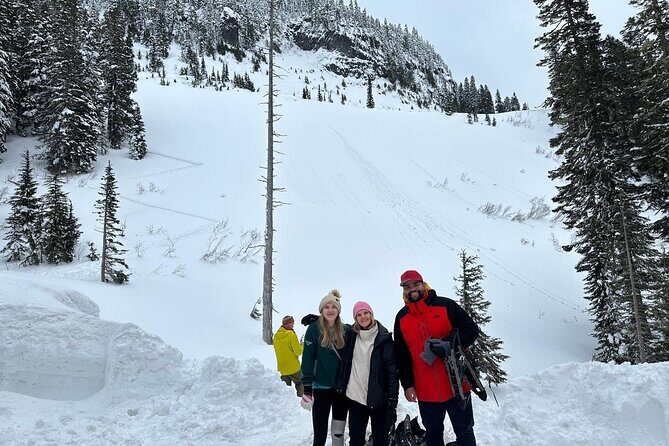 Discover Mt. Rainier Private Full-Day Tour - The Value of a Guided Private Tour