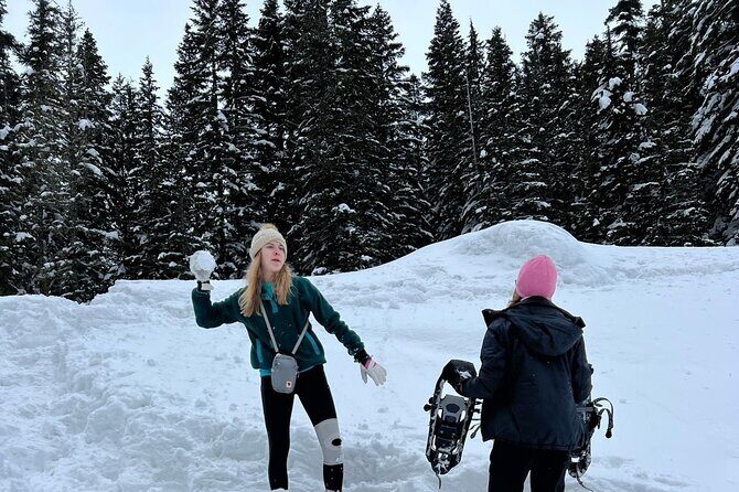 Discover Mt. Rainier Private Full-Day Tour - Who Would Love This Tour?