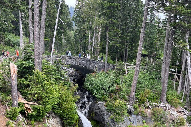 Discover Mt. Rainier Private Full-Day Tour - Final Thoughts