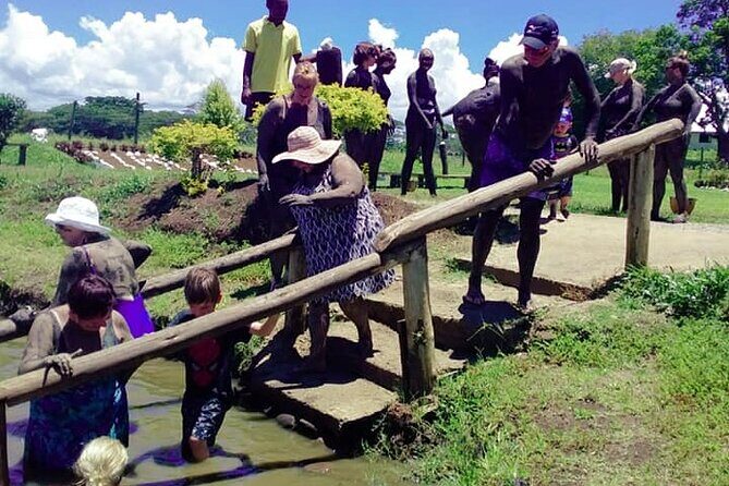Discover Mud pool/Hot -Spring Nadi - Discover Mud Pool/Hot Spring Nadi: A Soothing Fijian Escape