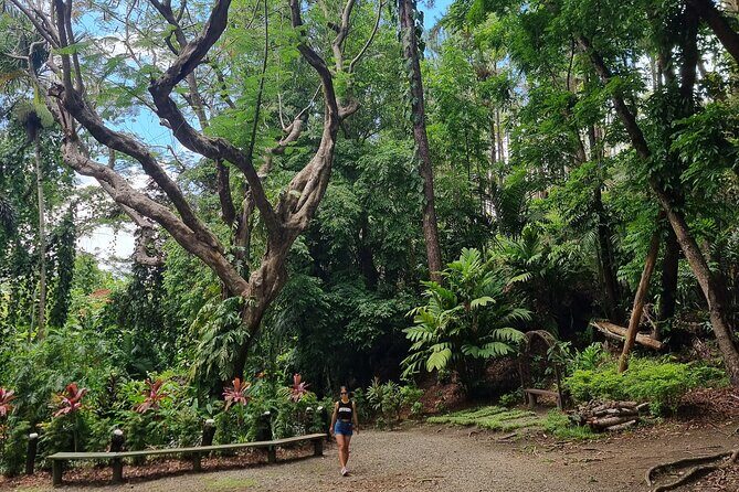 Discover Nadi Fiji Private Tour (All Fees Included) - What We Love About the Tour