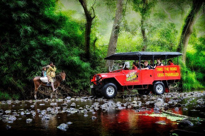 Discover Nadi Fiji Private Tour (All Fees Included) - Final Thoughts