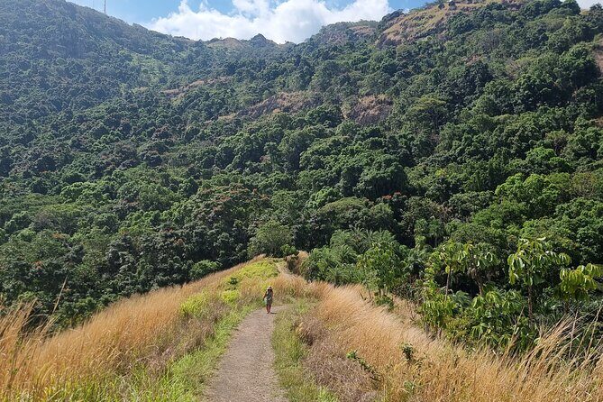 Discover Nadi Fiji Private Tour (All Fees Included) - Frequently Asked Questions