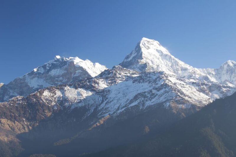 Discover Nepal: 12 Day Trekking and Wildlife Expedition - A Deep Dive into the Experience