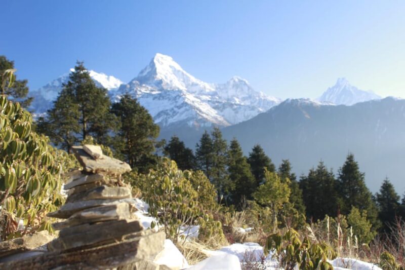 Discover Nepal: 12 Day Trekking and Wildlife Expedition - Authentic Experiences & Traveler Insights