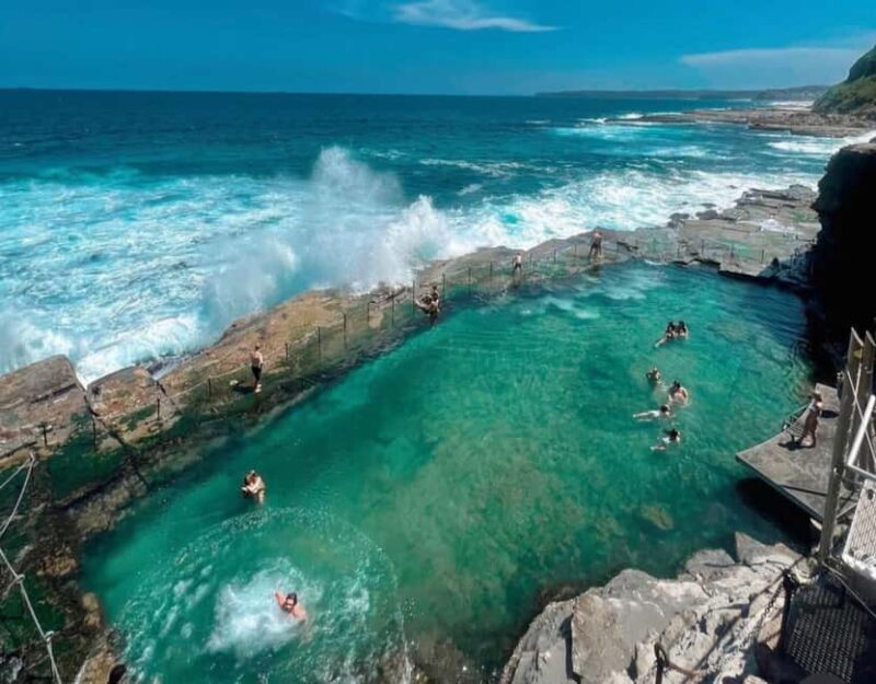 Discover Newcastle: Coastal Charms & City Secrets - mini van - A Detailed Look at the Tour Experience