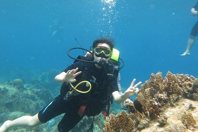 Discover Nha Trang Bay with Scuba Diving Tour - Discover Nha Trang Bay with Scuba Diving Tour: A Practical Guide to Marine Adventure in Vietnam