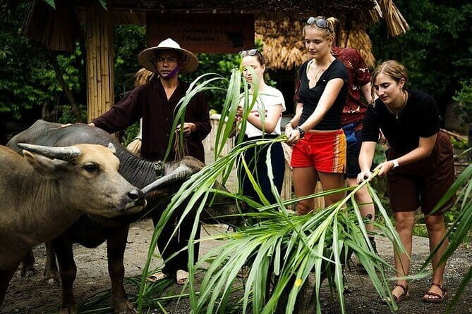 Discover Ninh Binhs Highlights Hidden Gems 1 Day Motorbike Tour - Discover Ninh Binhs Hidden Gems on a 1-Day Motorbike Tour