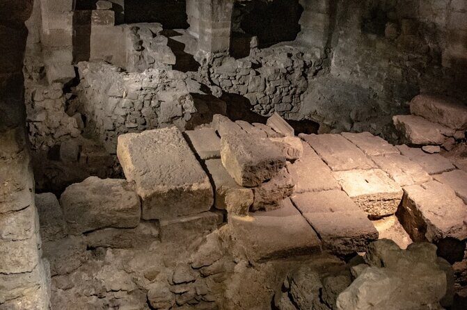 Discover Notre Dames Crypt with an Archeologist + River Cruise - Key Points