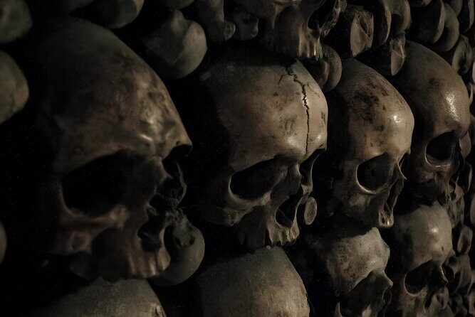 Discover Notre Dames Crypt with an Archeologist + River Cruise - Final Thoughts: Is This Tour Worth It?