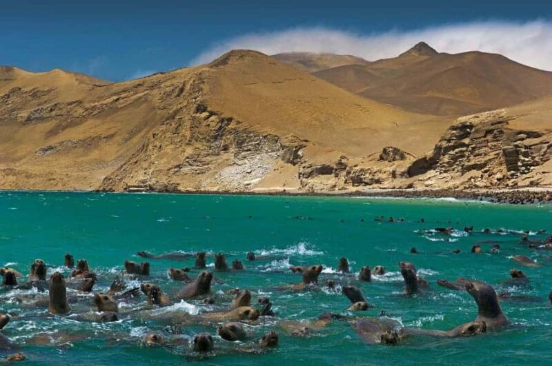 Discover Paracas, Ica and Nasca in a 2 days and 1 night trip - FAQs