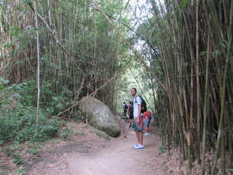 Discover Pedra do Telégrafo: A Scenic Guided Hike in Rio - The Practicalities: What You Need to Know