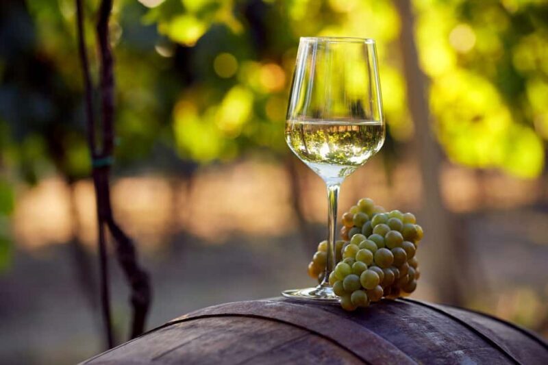 Discover Peljeac Peninsula - A Wine Tour in Small Groups - The Value Proposition