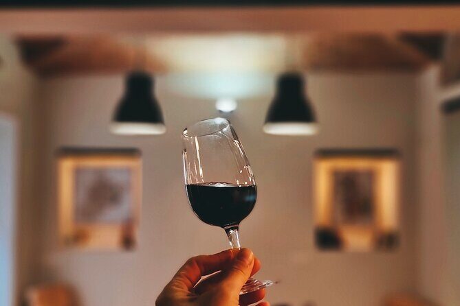 Discover Piedmont Wines in Turin - An Honest Look at the Piedmont Wine Tasting Experience in Turin