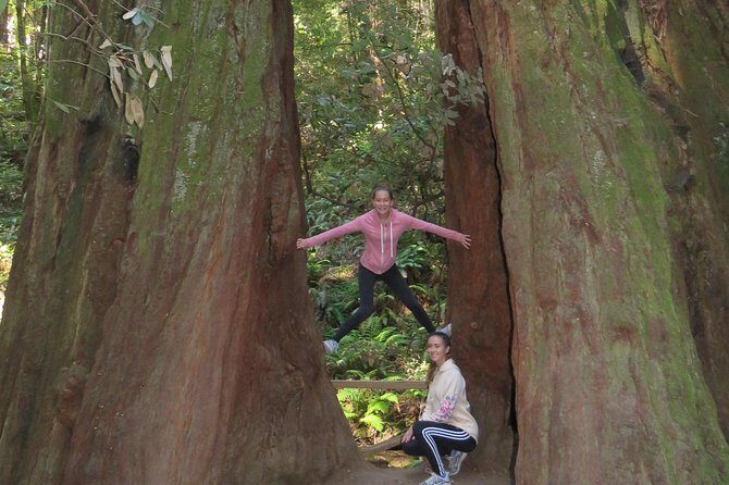 Discover Point Reyes National Seashore & Muir Woods Redwoods - Final Thoughts