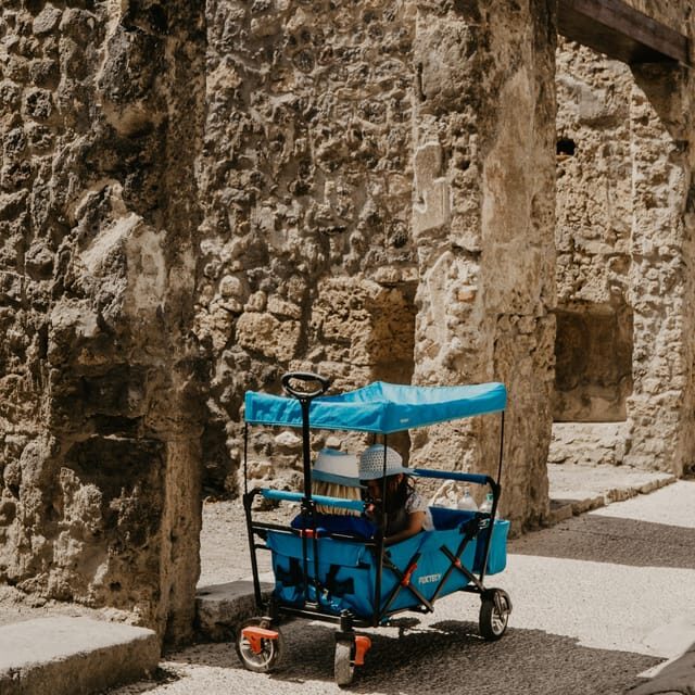 Discover Pompeii: French Walking Tour of the Buried City - Why Choose This Pompeii Walking Tour?