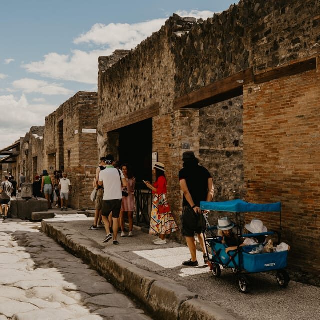 Discover Pompeii: French Walking Tour of the Buried City - Who Would Enjoy This Tour?