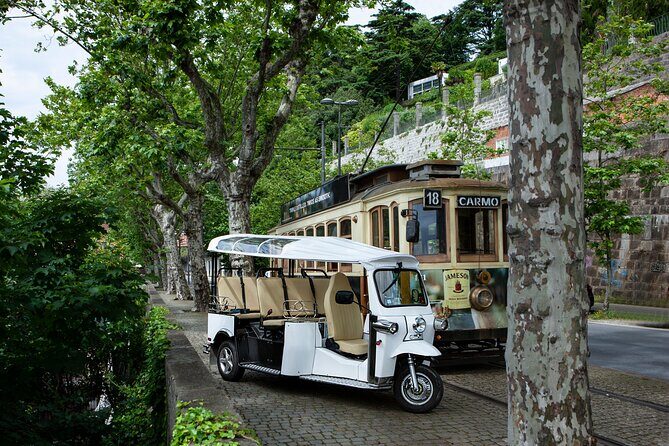 Discover Porto's Highlights on a 2-Hour Private Electric Tuk Tuk - Key Points