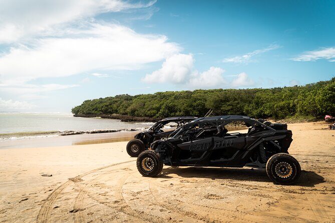 Discover Puerto Rico Like a Local 4 Hour Private Beach Escape - Key Points