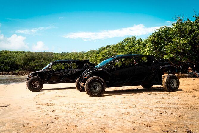 Discover Puerto Rico Like a Local 4 Hour Private Beach Escape - A Closer Look at the Experience