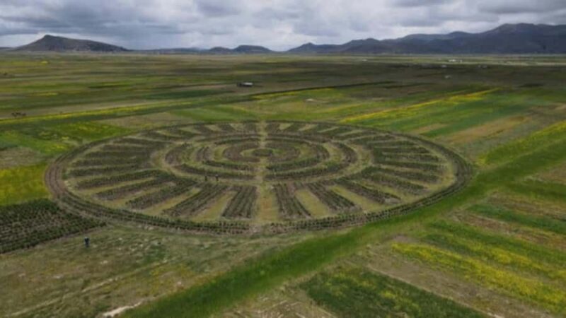 Discover Puno: Aymara Route and Titicaca Castle (Entrance) - Key Points