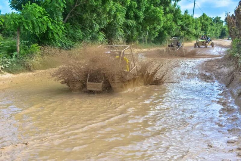 Discover Punta Cana: Buggy Tour, El Macao Beach, Blue Cenote - The Real Experience: What It’s Like to Join the Punta Cana Buggy Tour