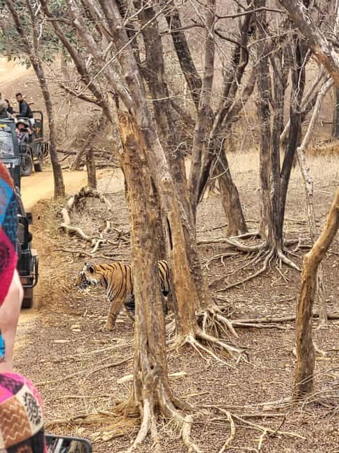 Discover Rajastan - The Value of a Private, Flexible Tour