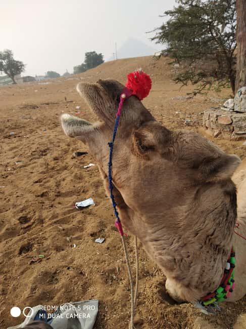 Discover Rajastan - Transportation and Comfort