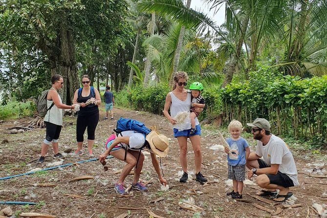 'Discover' Rarotonga Cycling Tour with Lunch - Who Should Consider This Tour?
