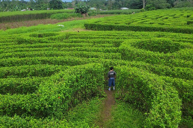 Discover Rio Celeste Labyrinth, Sloth Sanctuary & River Swim - The Sum Up