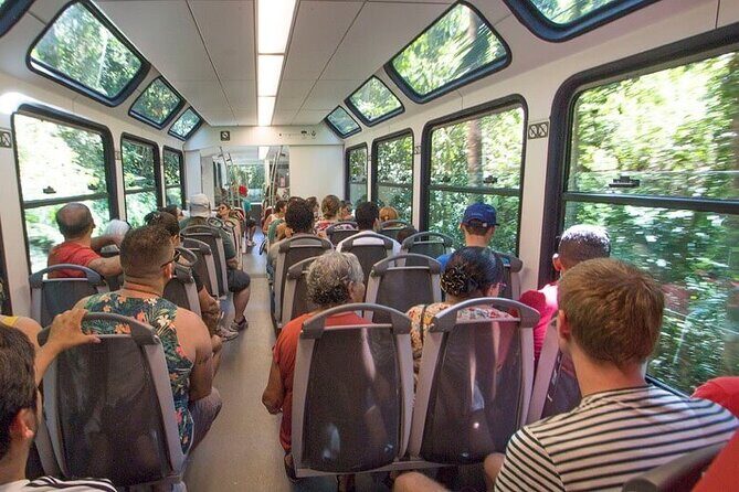 Discover Rio de Janeiro in one day - Exploring Rio in One Day: What to Expect