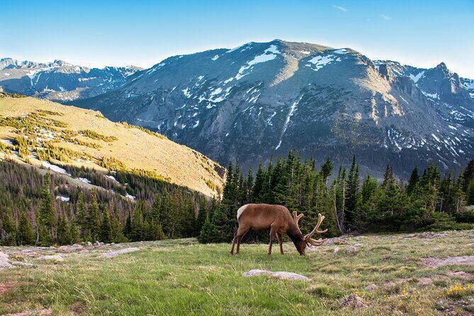 Discover Rocky Mountain National Park - Discover Rocky Mountain National Park: An In-Depth Review