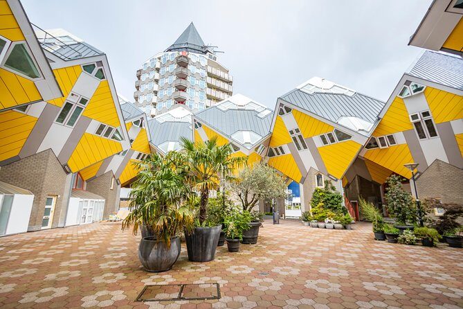 Discover Rotterdams most Photogenic Spots with a Local - Final Thoughts: Why This Tour Is Worth Considering