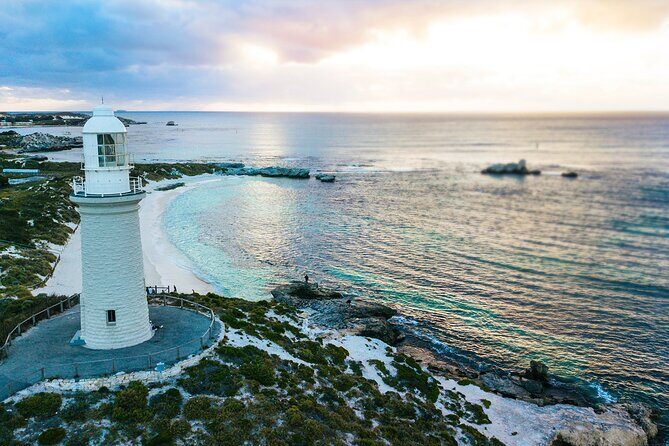 Discover Rottnest with Ferry & Bus Tour - Who Would Love This Tour?
