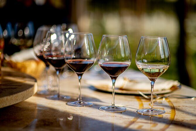 Discover San Gimignano from Livorno - Discover San Gimignano from Livorno